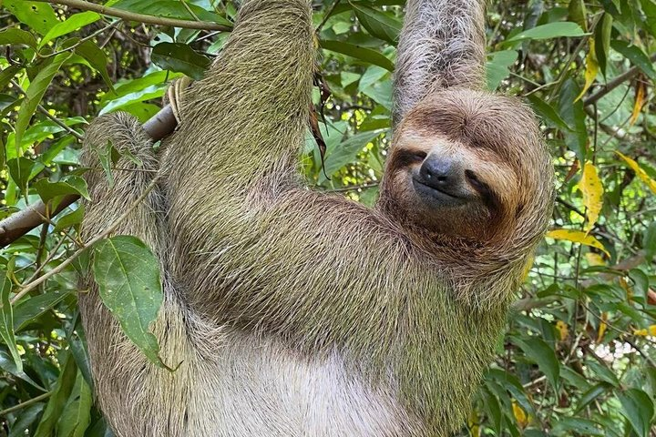 Manuel Antonio National Park Guided Tour – With Ticket Option - Photo 1 of 21